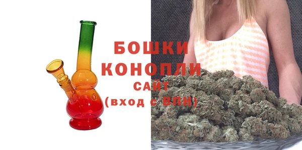 бошки Бронницы